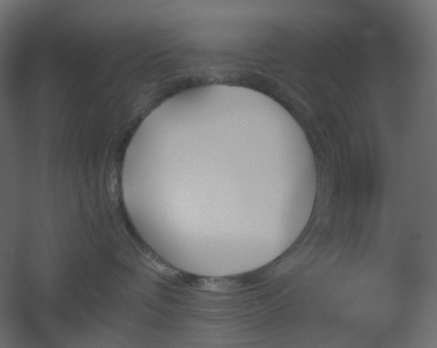 X0000051910336200506241449