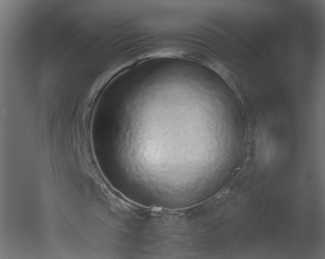 X0000051910337200506241448