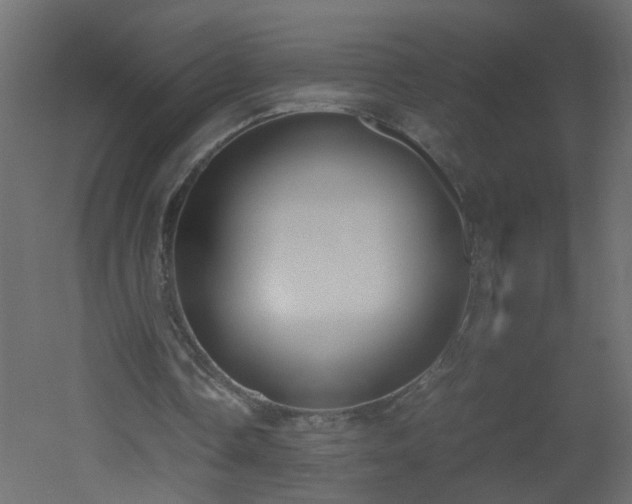 X0000051910338200506241448