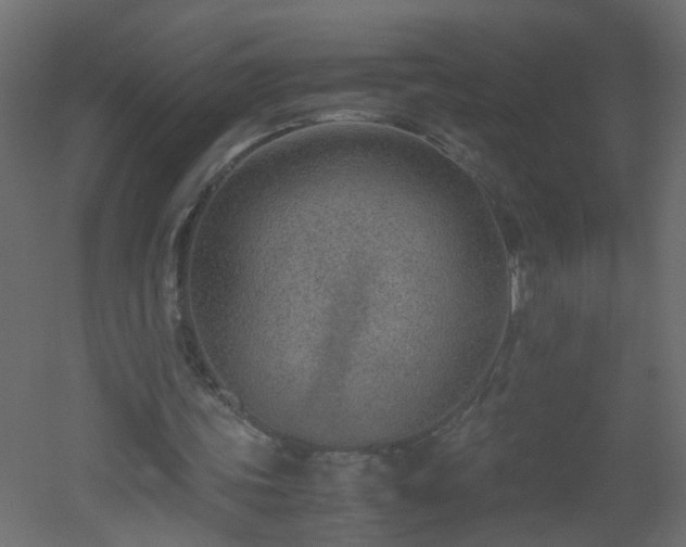 X0000051910339200506241448