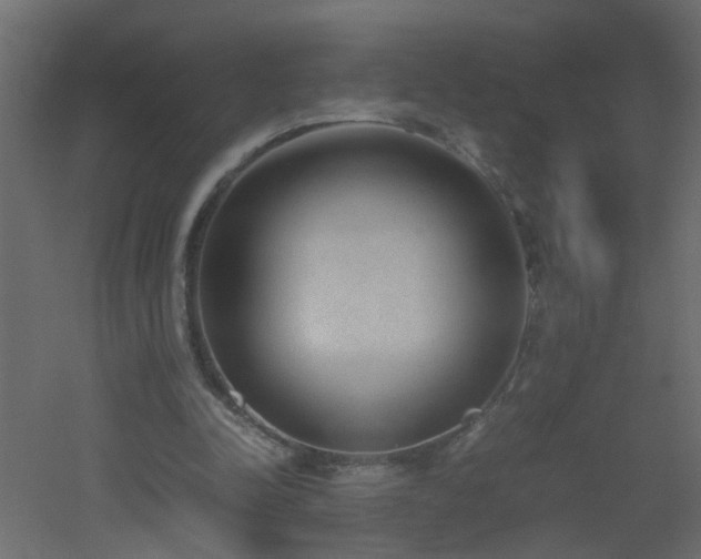 X0000051910342200506241448