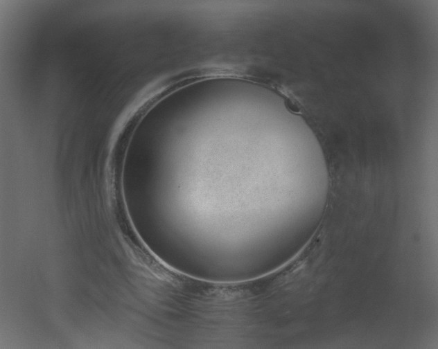 X0000051910343200506241448