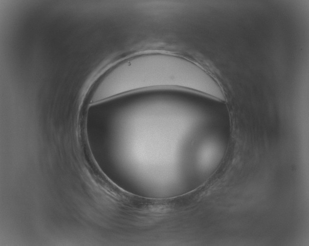 X0000051910344200506241449