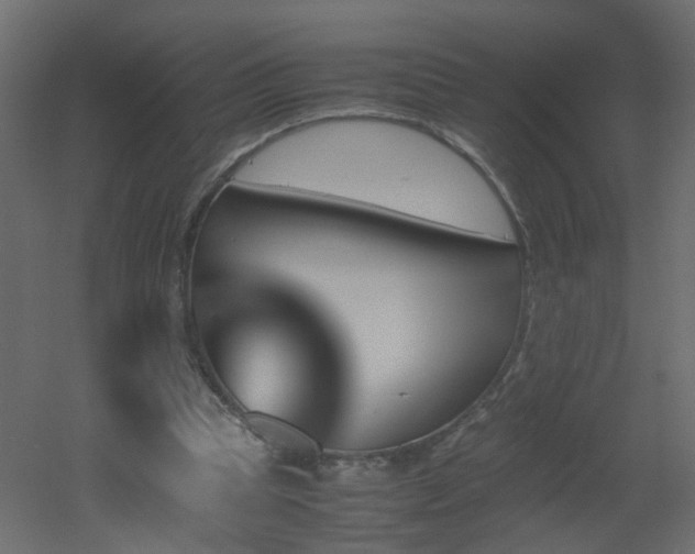 X0000051910345200506241449