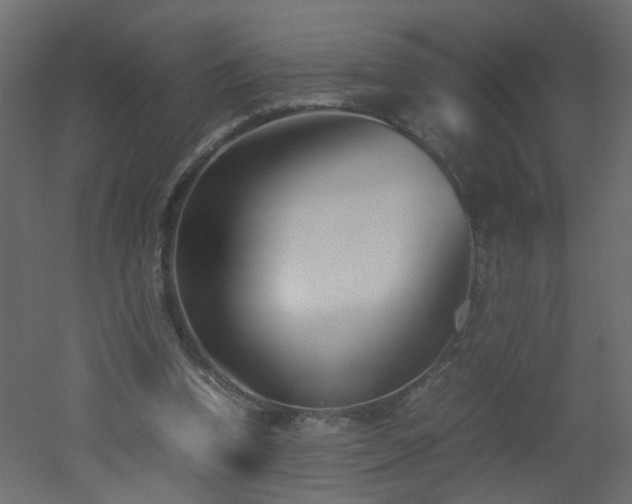 X0000051910346200506241449