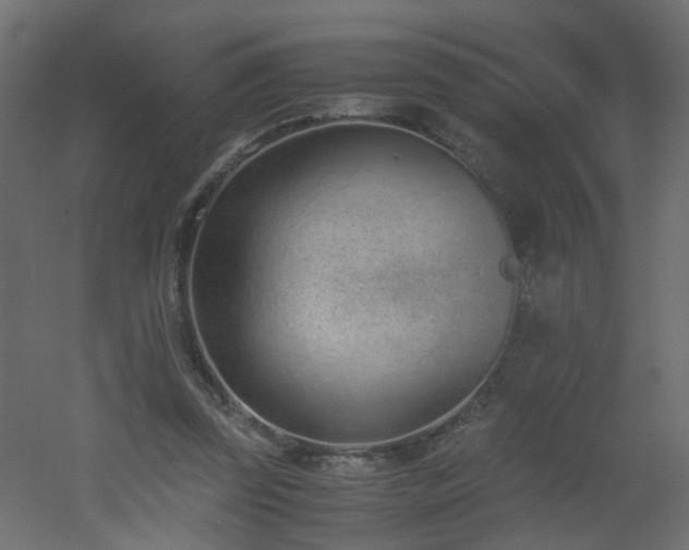 X0000051910347200506241449