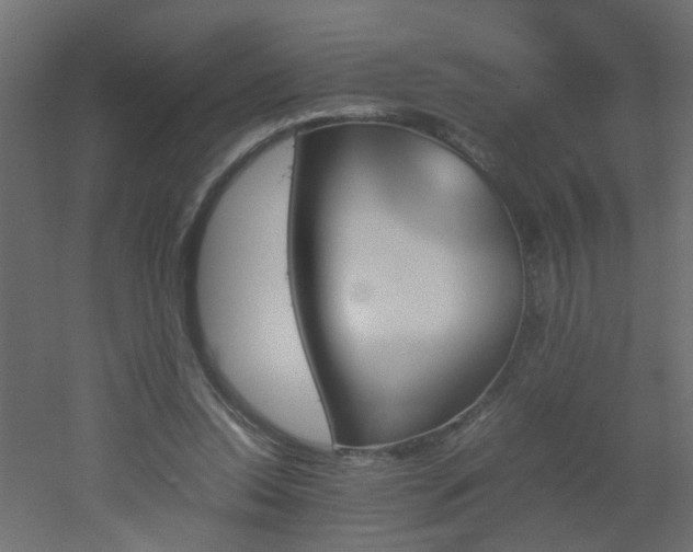 X0000051910350200506241449