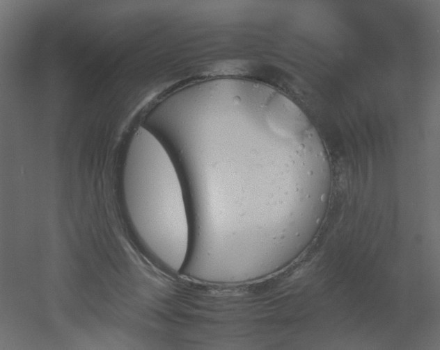 X0000051910351200506241449