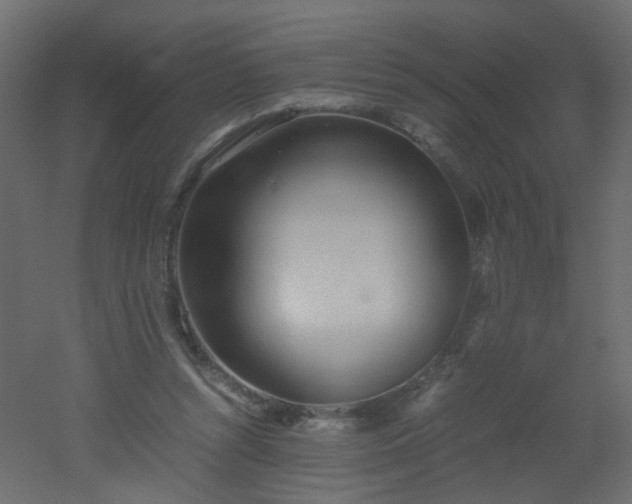 X0000051910352200506241449