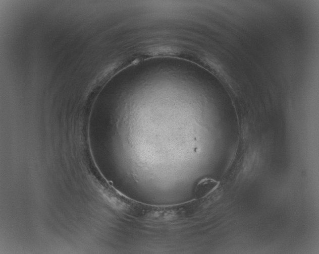 X0000051910353200506241449