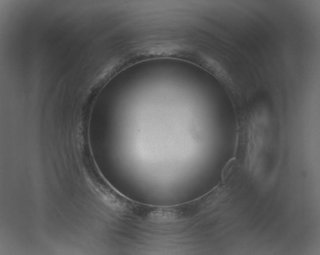 X0000051910354200506241449