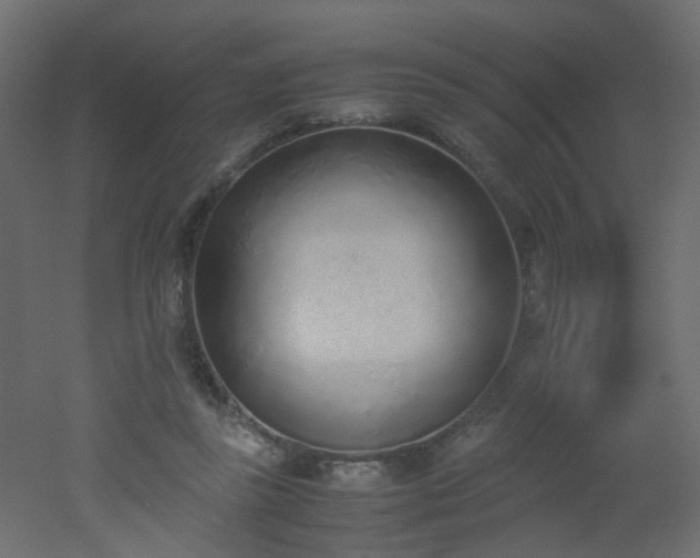 X0000051910355200506241449