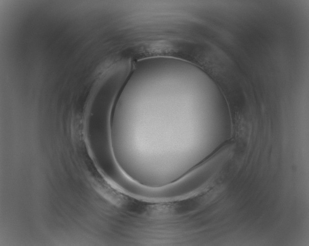 X0000051910356200506241449