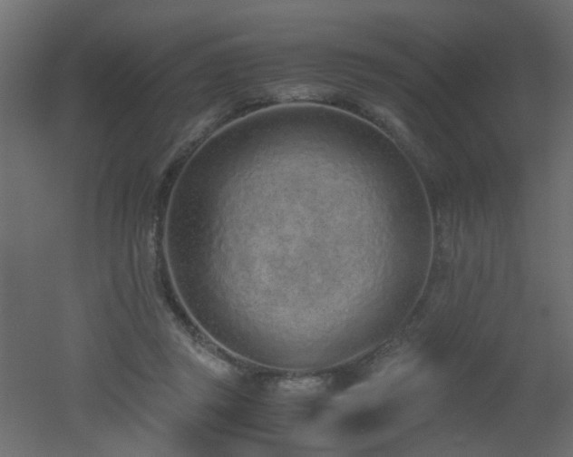 X0000051910357200506241449