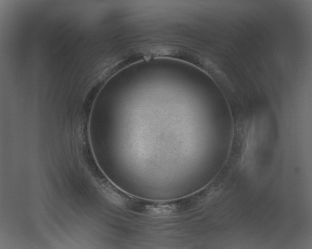 X0000051910359200506241449