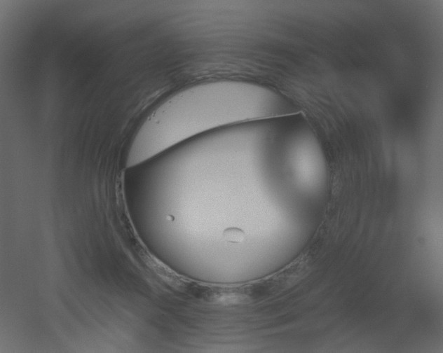 X0000051910360200506241449