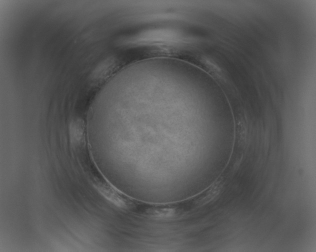 X0000051910361200506241449