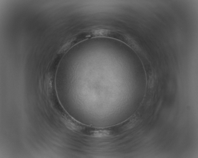 X0000051910363200506241449