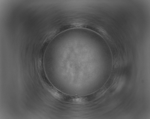 X0000051910365200506241449