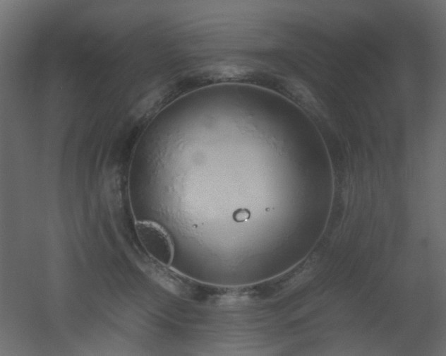 X0000051910366200506241449