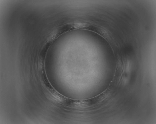 X0000051910367200506241449