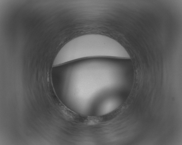 X0000051910368200506241449