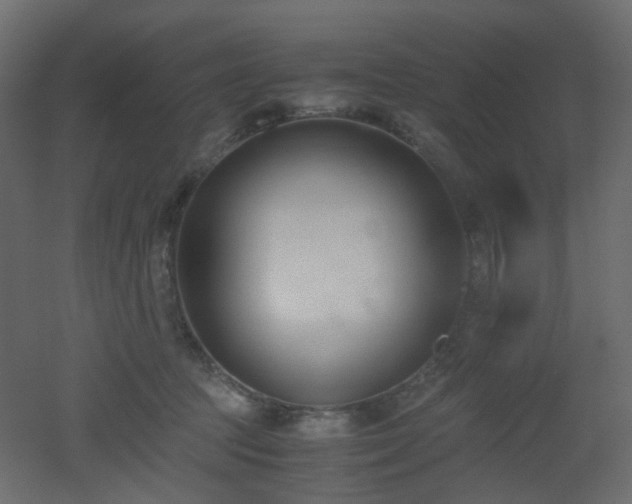 X0000051910369200506241449