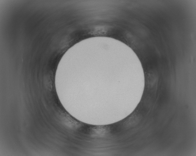 X0000051910370200506241449