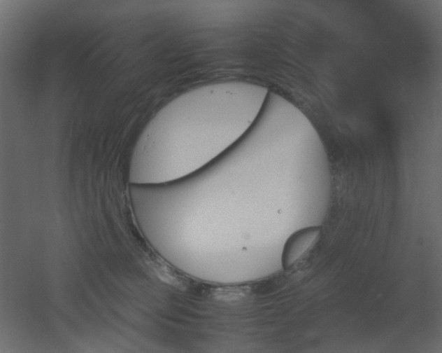 X0000051910373200506241449