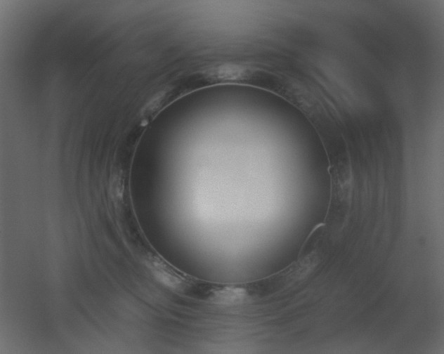 X0000051910374200506241449