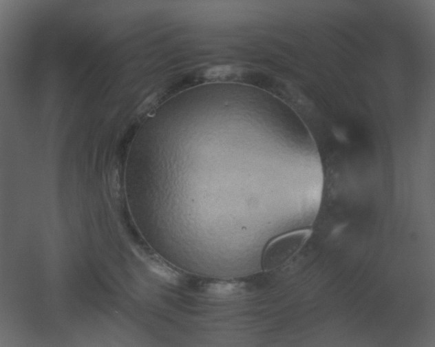 X0000051910375200506241449