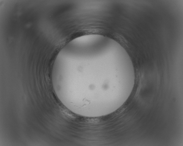 X0000051910377200506241449