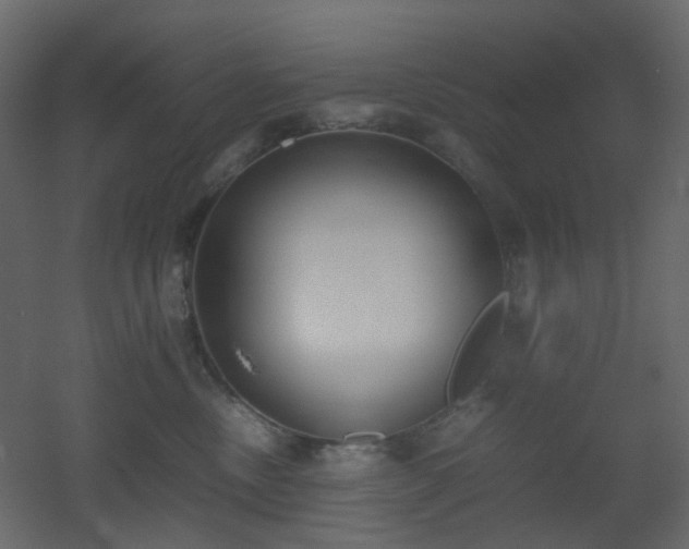 X0000051910378200506241449