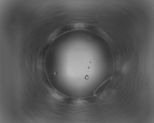 X0000051910379200506241449