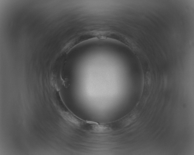 X0000051910380200506241449