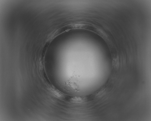 X0000051910381200506241449