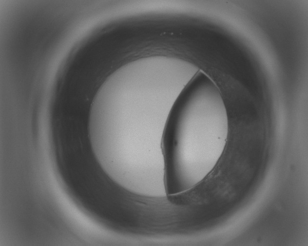 X0000051910382200506241449