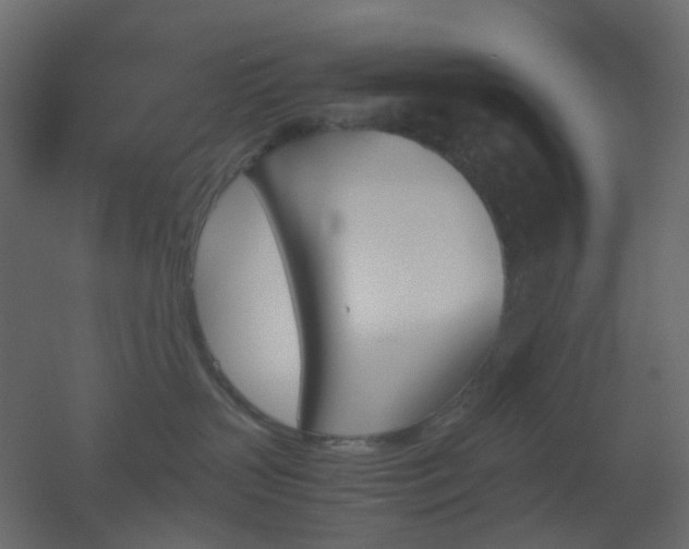 X0000051910383200506241449