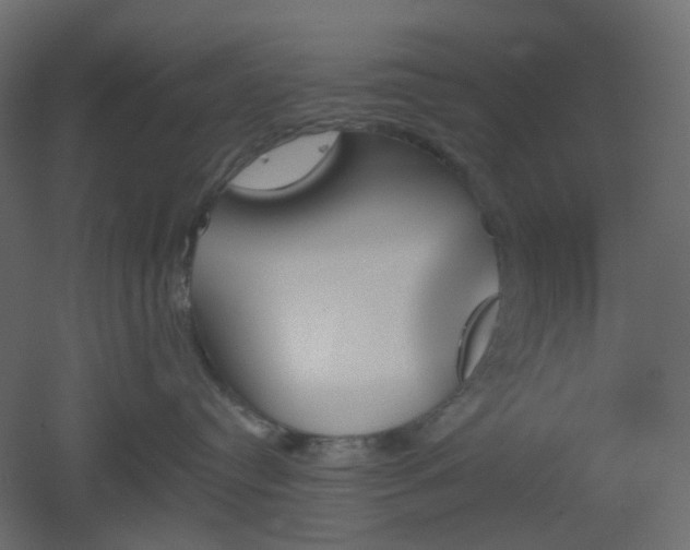 X0000051910384200506241449