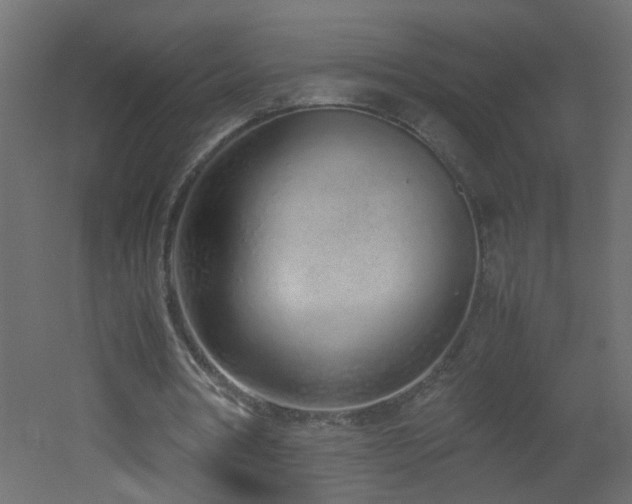 X0000051910386200506241448