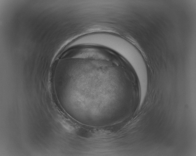 X0000051910387200506241448