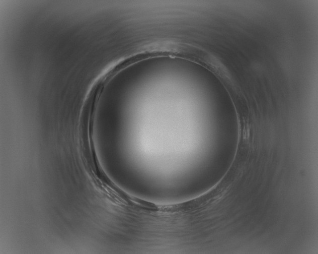 X0000051910388200506241448