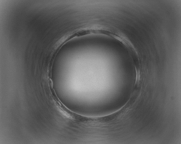 X0000051910389200506241448