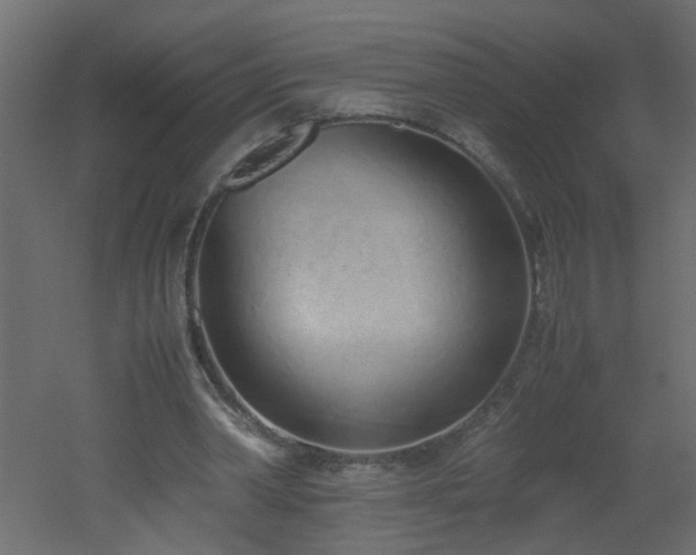 X0000051910390200506241448