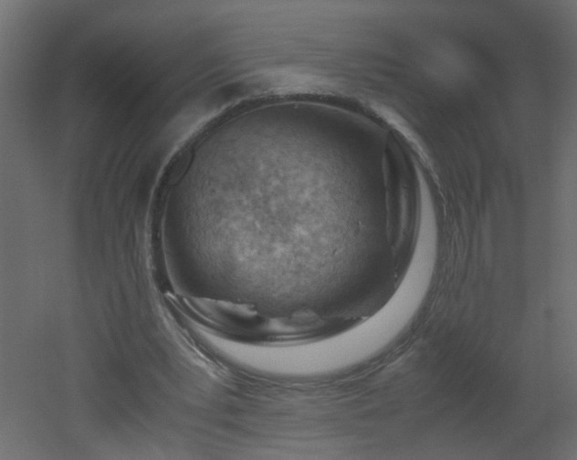 X0000051910391200506241448