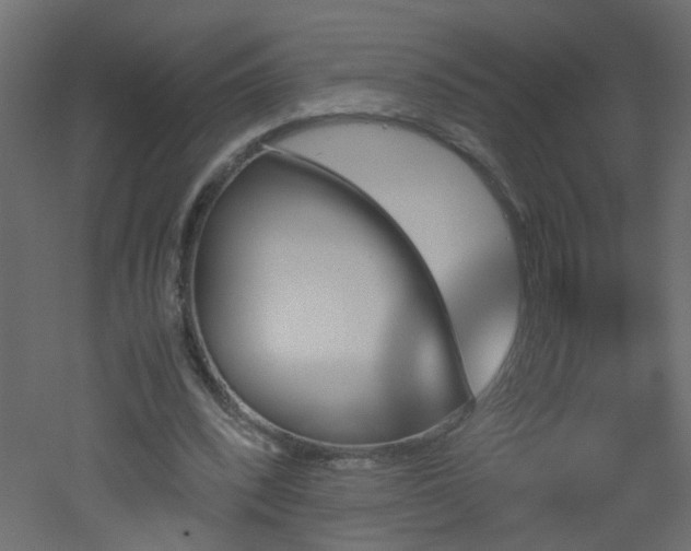 X0000051910392200506241448