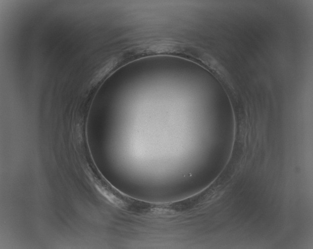 X0000051910393200506241448