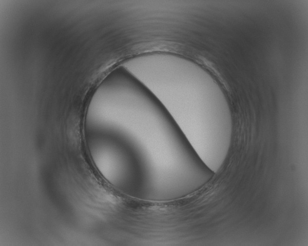 X0000051910394200506241448