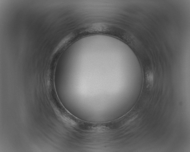 X0000051910396200506241448