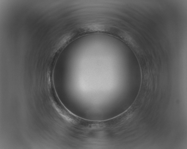 X0000051910398200506241448